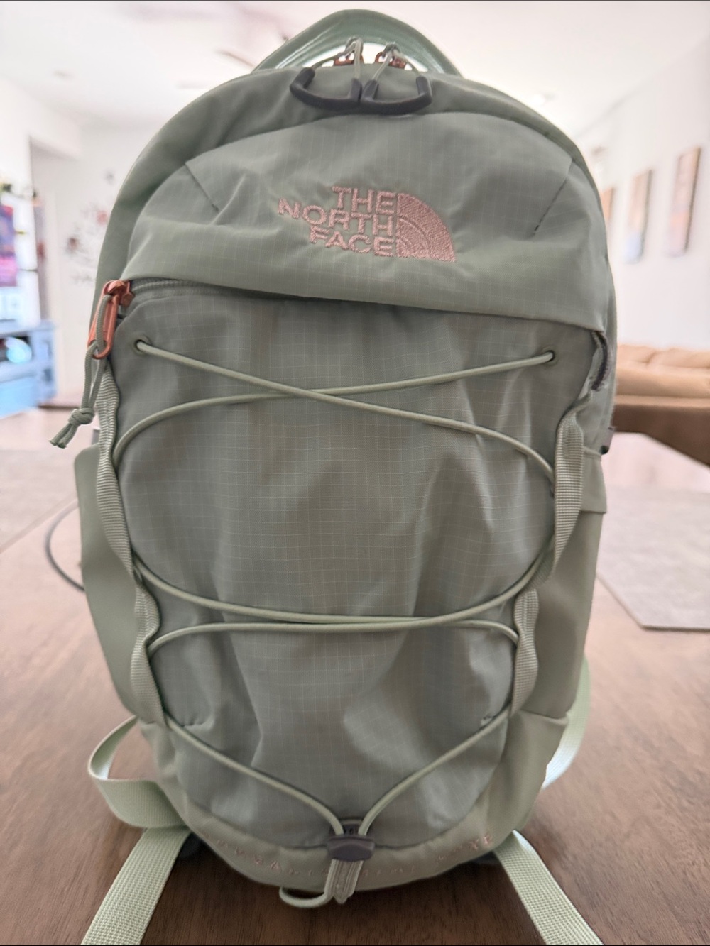 The North Face Borealis mini Luxe sage green backpack with pink logo accent
